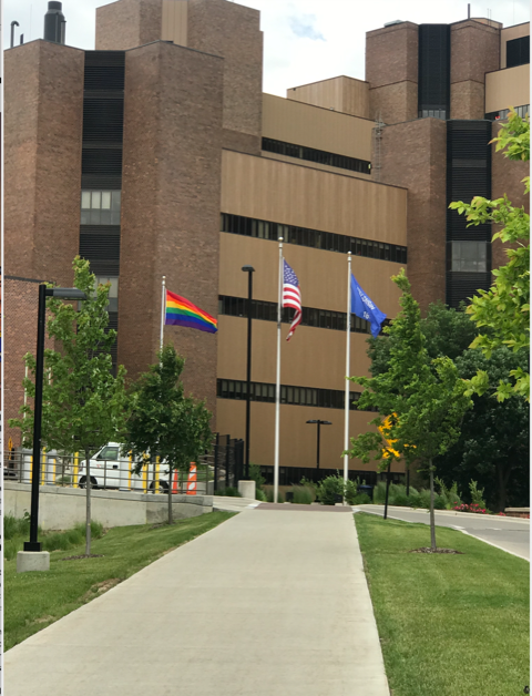 UWHealth Pride Flag.png
